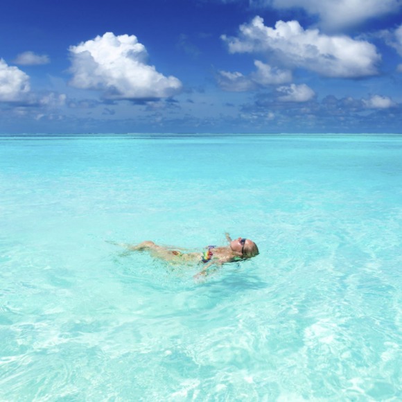 Meet your Posher, Cindy - Picture 1 of 1